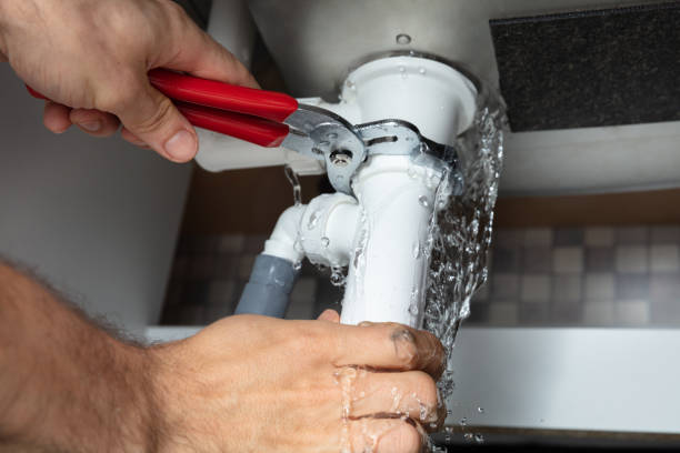 Best Professional water damage repair  in Wamego, KS