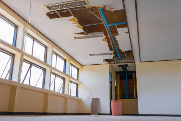  Wamego, KS Water damage restoration Pros