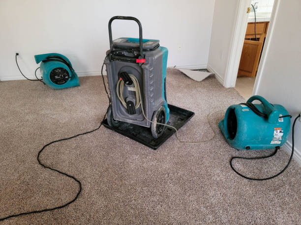 Best Ceiling water damage repair  in Wamego, KS