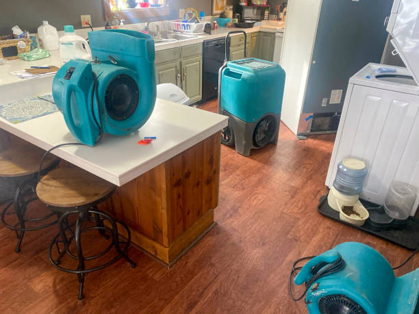 Best Carpet water damage restoration  in Wamego, KS