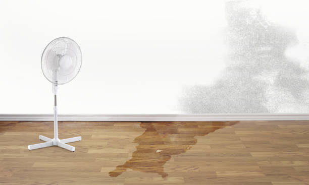 Best 24-hour water damage restoration  in Wamego, KS