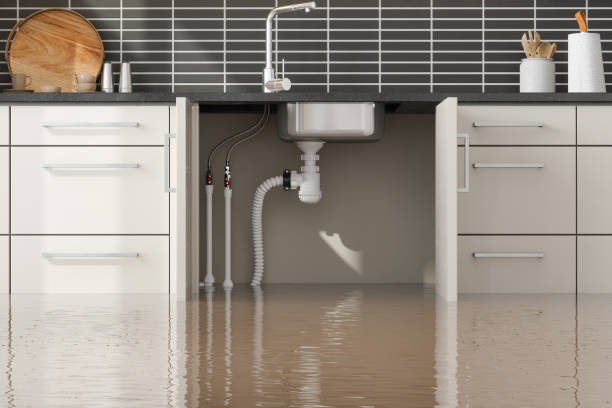 Best Water damage contractors near me  in Wamego, KS